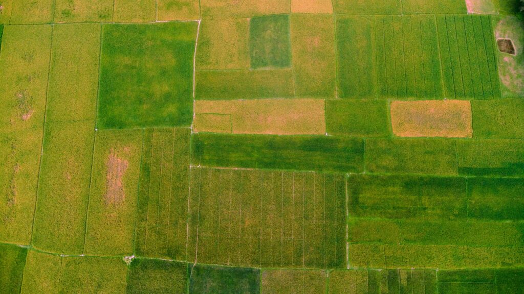 Free stock photo of 4k bd, agricultural, bd landscape